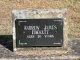 image of grave number 716311